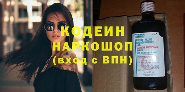 прущие грибы Бородино