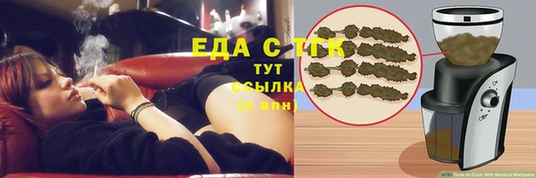 прущие грибы Бородино