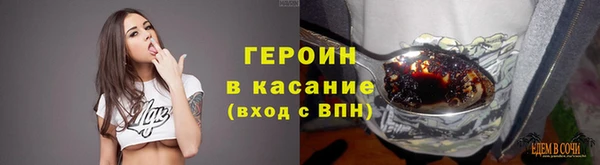 прущие грибы Бородино