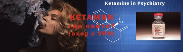 прущие грибы Бородино