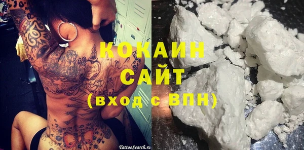 дживик Бронницы