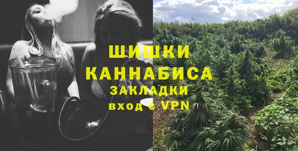 дживик Бронницы