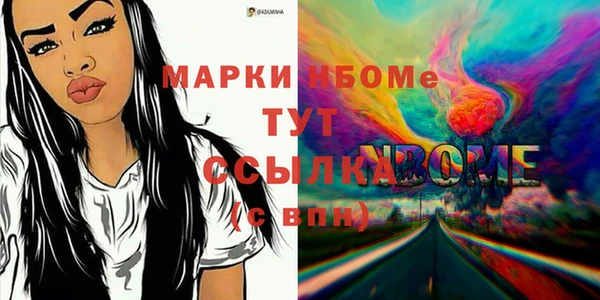 прущие грибы Бородино