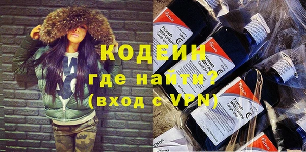 прущие грибы Бородино