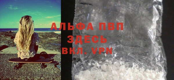 прущие грибы Бородино