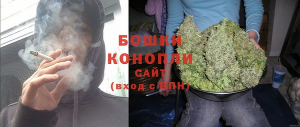 дживик Бронницы