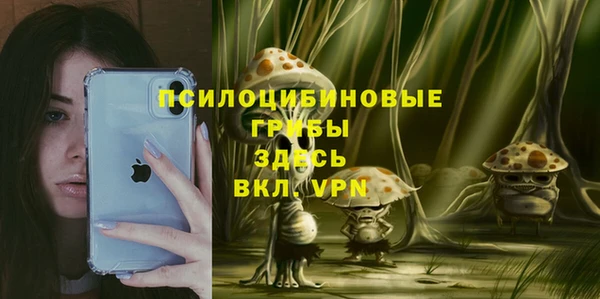 прущие грибы Бородино