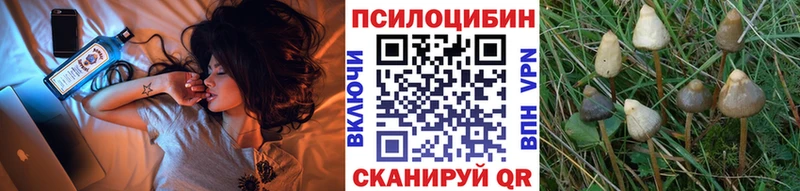 Псилоцибиновые грибы ЛСД  как найти наркотики  Навашино 